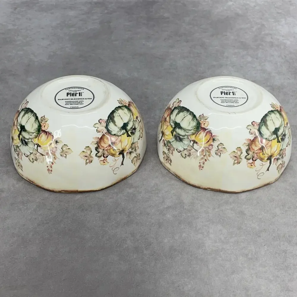 Set of 2 Pier 1 Harvest Blessings Soup Cereal Bowls Earthenware 6